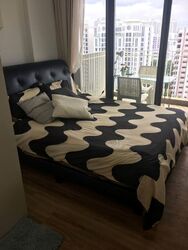 The Lakefront Residences (D22), Condominium #447709771